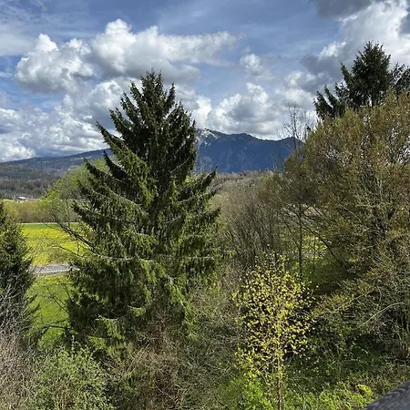 Blick Falkenstein