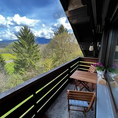 Blick Falkenstein *
